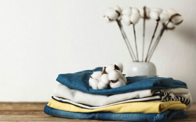 El algodón y sus cuidados