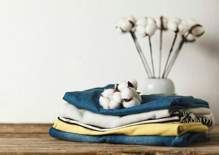 El algodón y sus cuidados